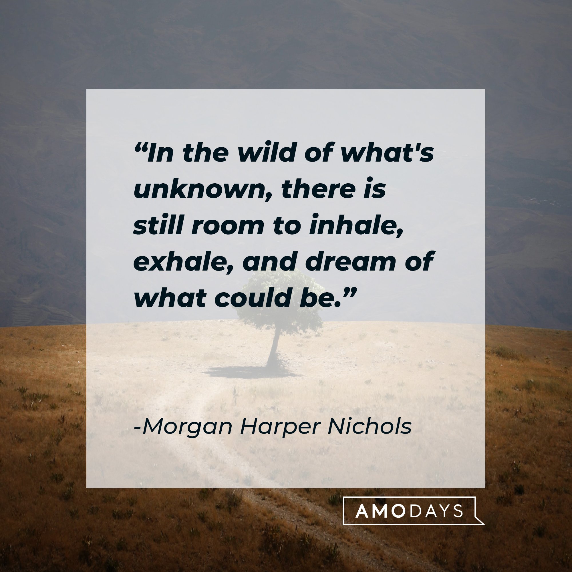 Morgan Harper Nichols’ quote: "In the wild of what's unknown, there is still room to inhale, exhale, and dream of what could be." | Image: AmoDays