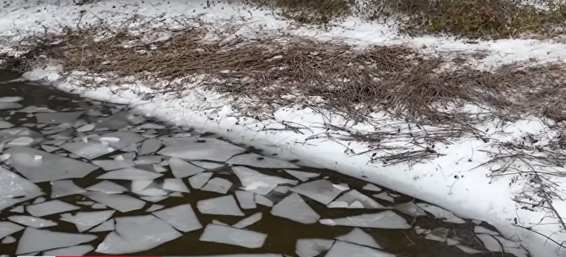 A view of the pond, dated January 28, 2026 | Source: YouTube/@kwtxnews10