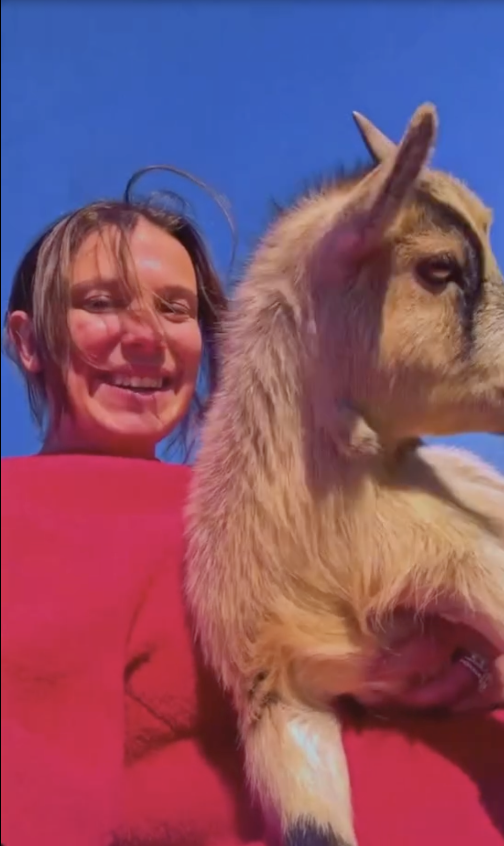 Millie Bobby Brown Bongiovi with one of her farm animals from a post dated December 8, 2024. | Source: Instagram/milliebobbybrown