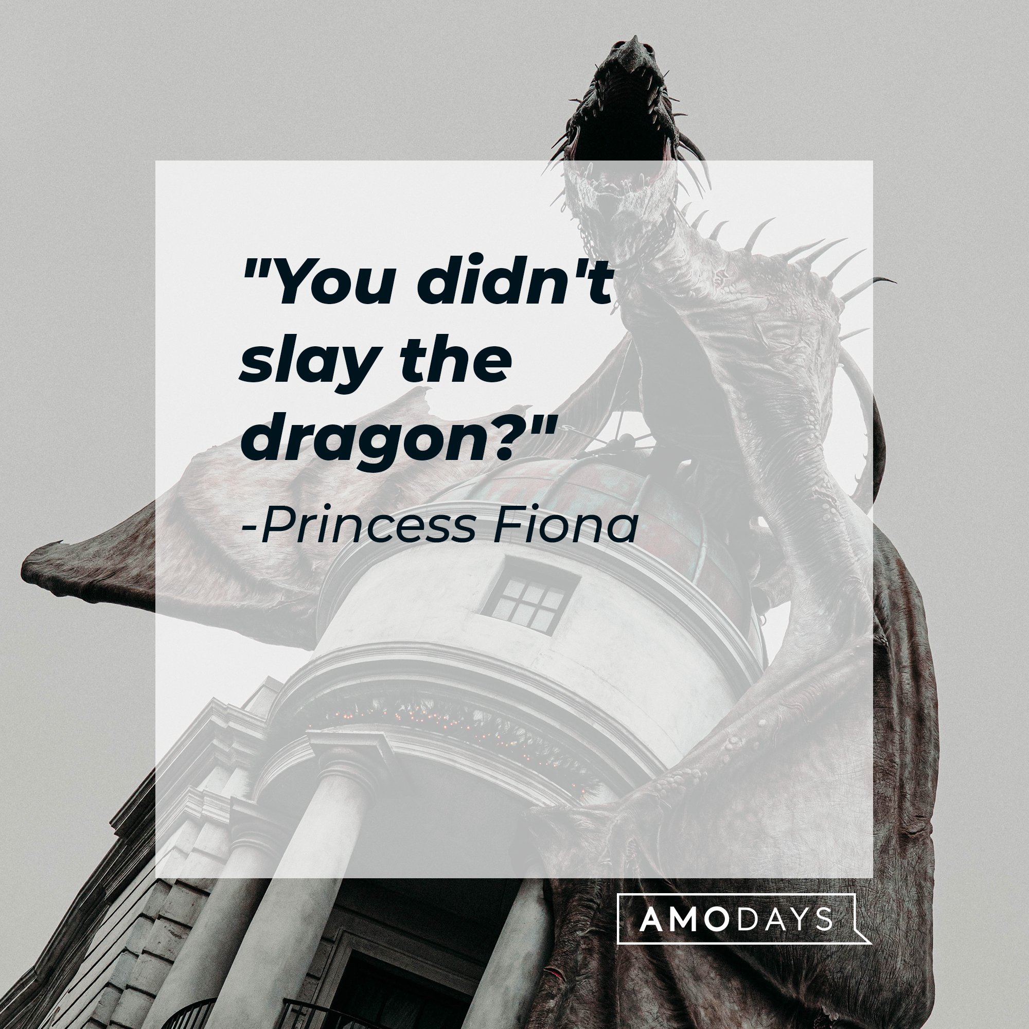 Princess Fiona's quote: "You didn't slay the dragon?" | Image: AmoDays