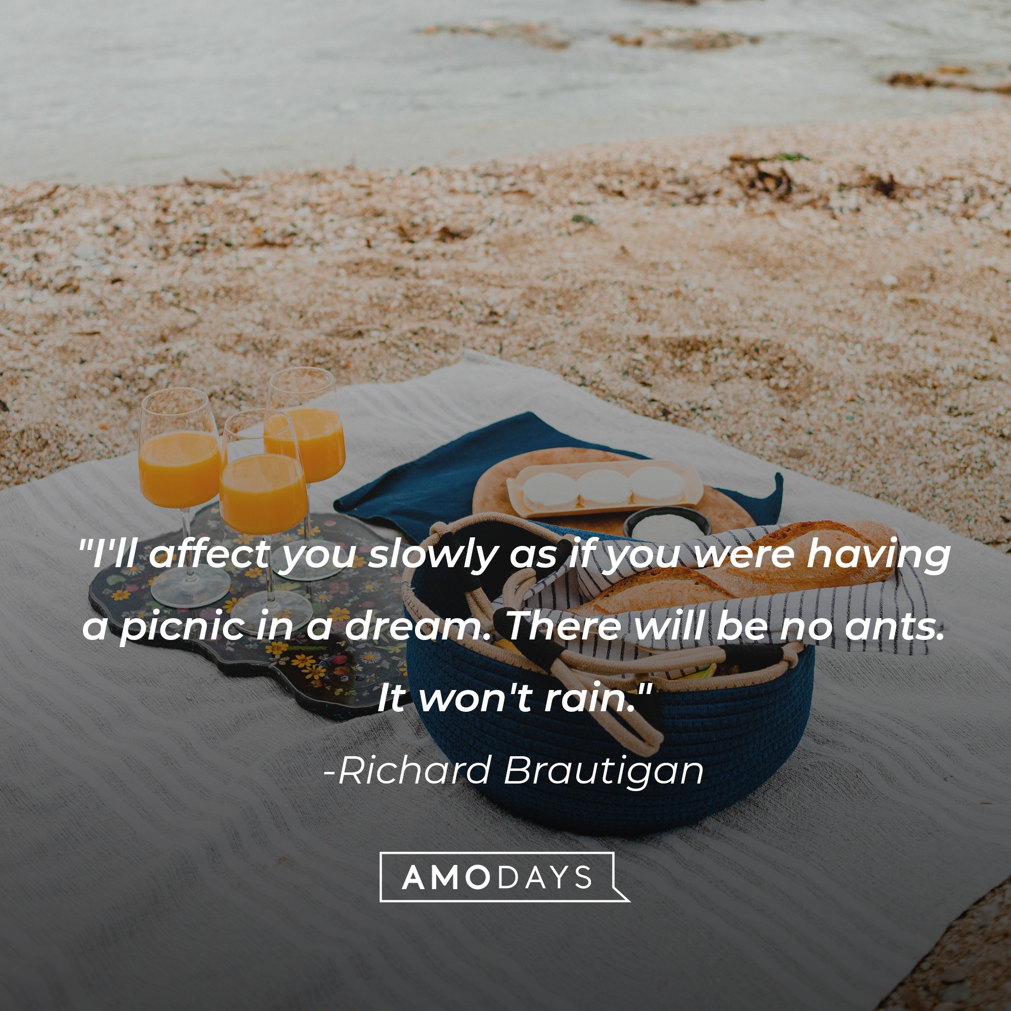Richard Brautigan's quote: "I'll affect you slowly as if you were having a picnic in a dream. There will be no ants. It won't rain." | Image: AmoDays