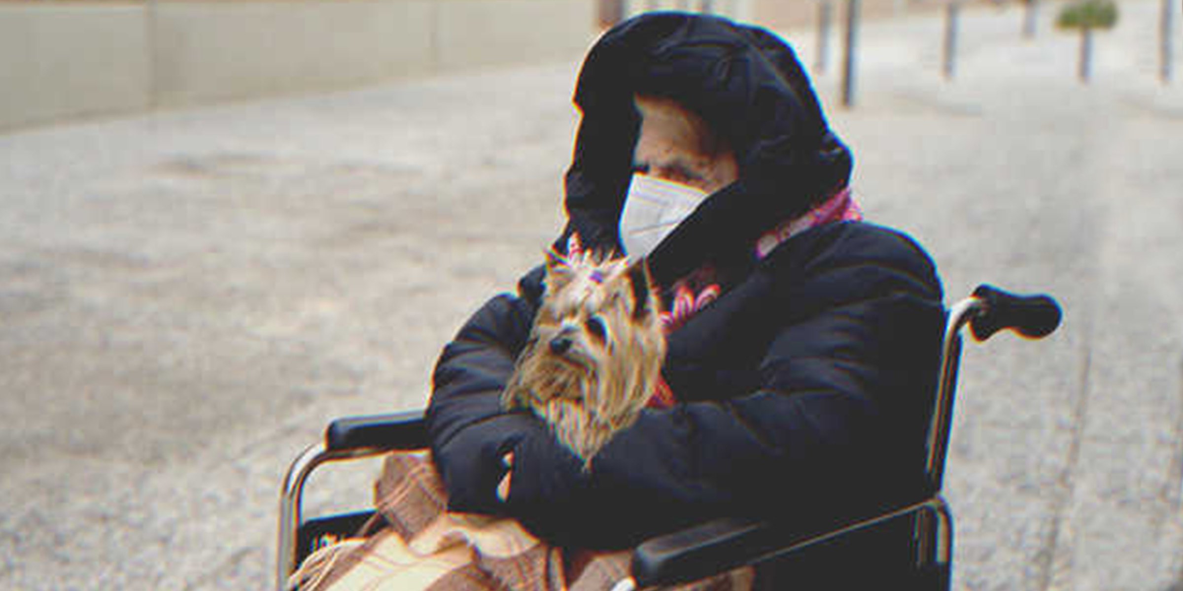 Eine arme Frau im Rollstuhl mit einem Hund | Quelle: Getty Images