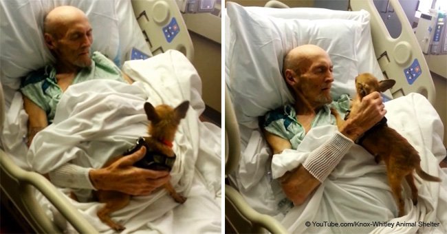 Hospital pulled out all the stops to reunite dying patient with his one-eyed dog