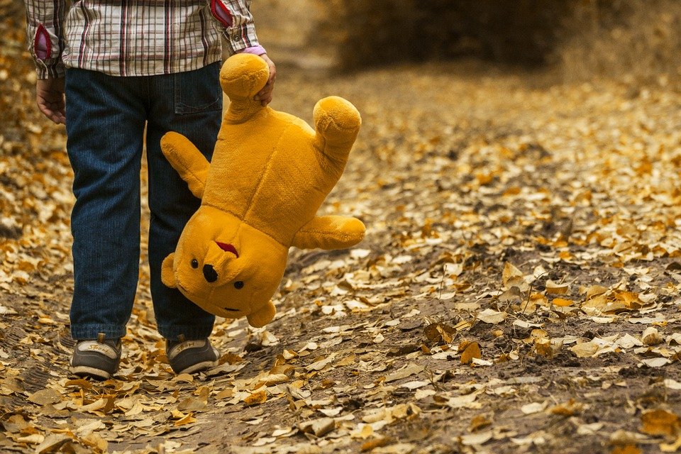Niño camiando solo con su oso|Foto: Pixabay