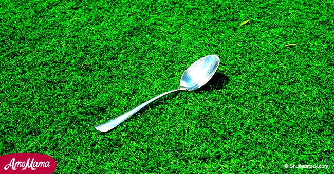 Here's why some people put a spoon of sugar in their backyard before leaving the house