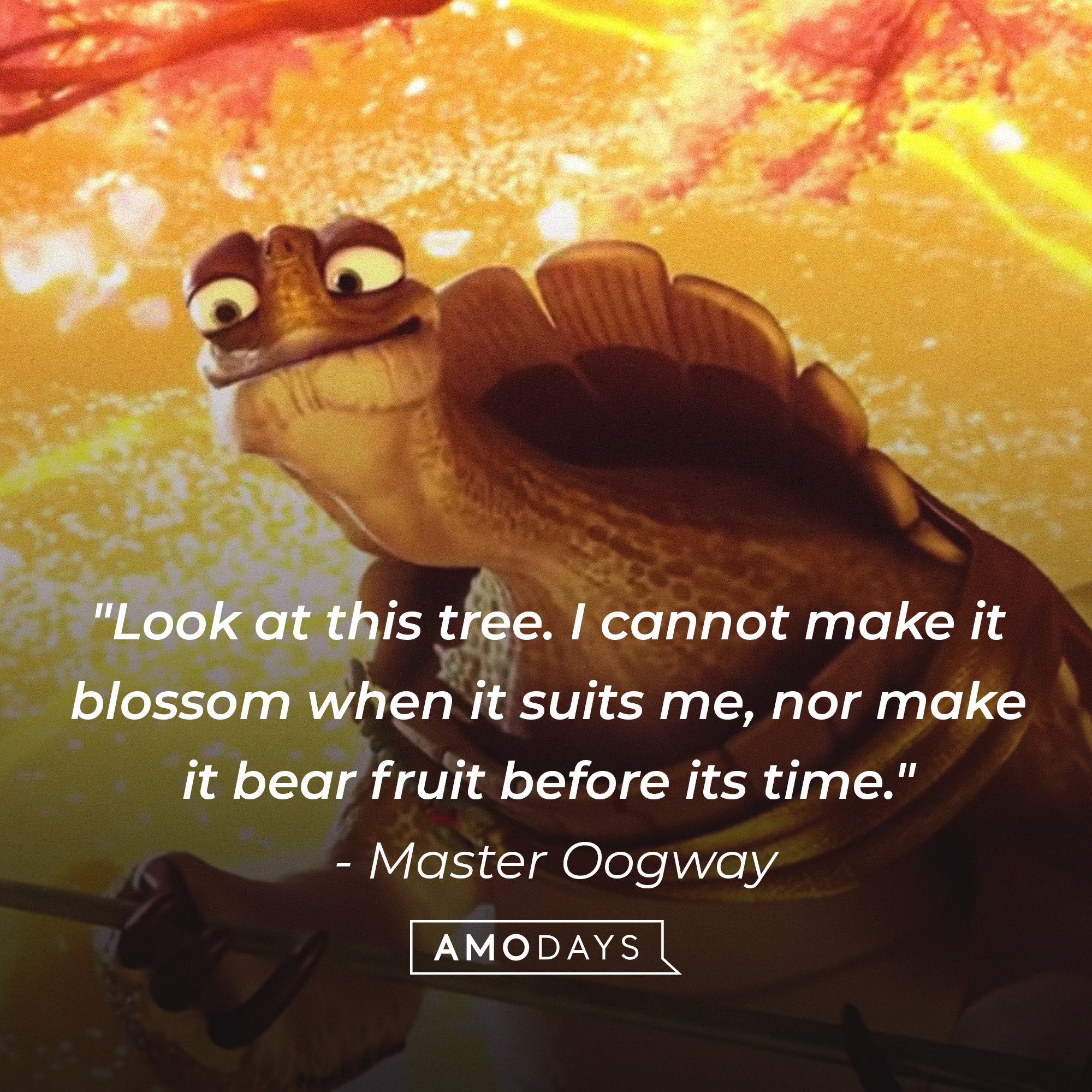 Master Oogway’s quote: "Look at this tree. I cannot make it blossom when it suits me, nor make it bear fruit before its time." | Image: AmoDays