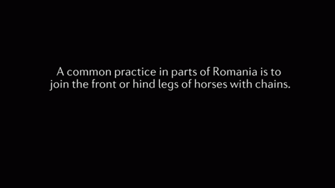 Source: Youtube