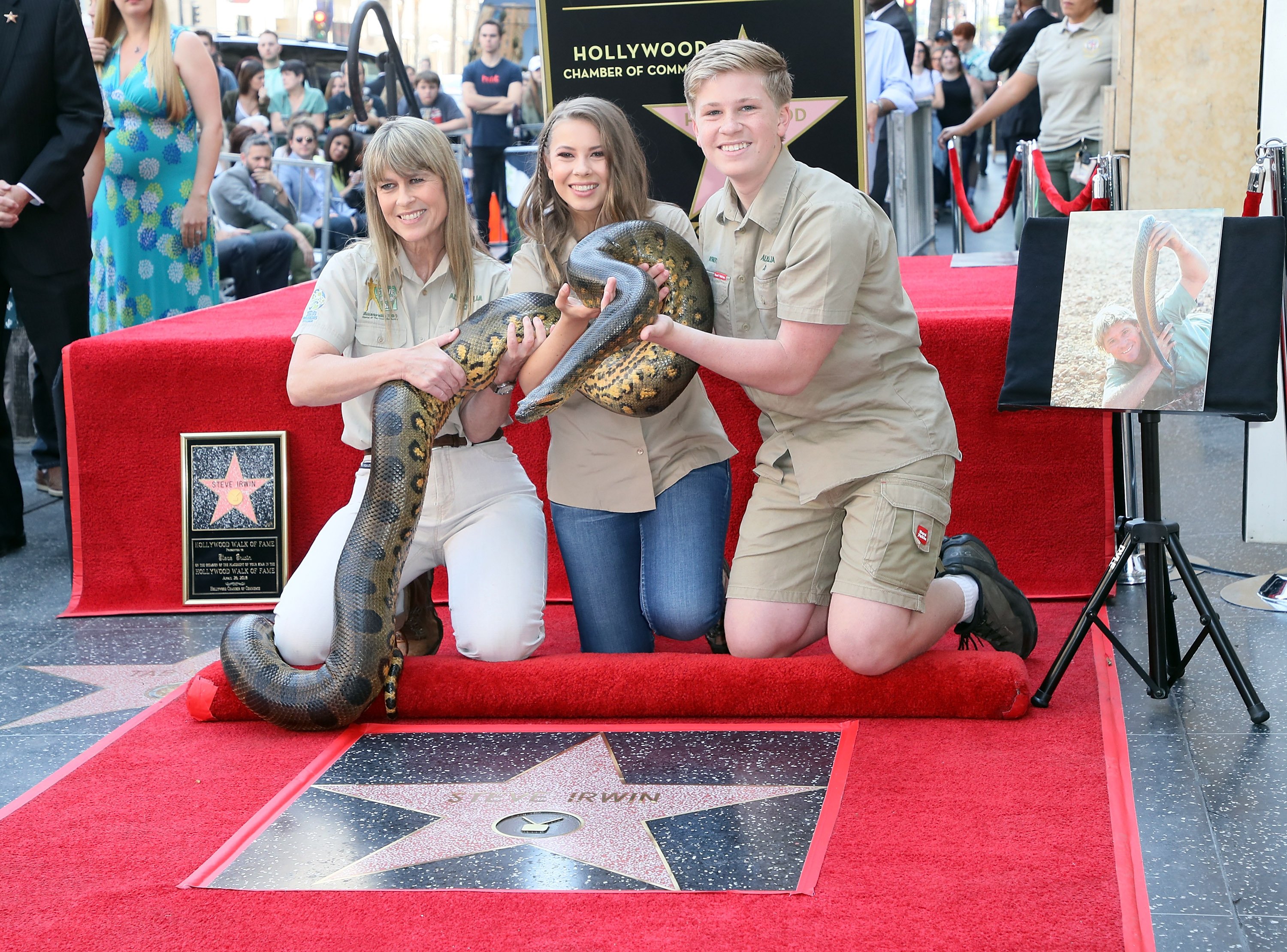Terri Irwin, Bindi Irwin and Robert Irwin celebrating Steve Irwin being honored posthumously with a Star on the Hollywood Walk of Fame in Hollywood, California | Photo: David Livingston/Getty Images