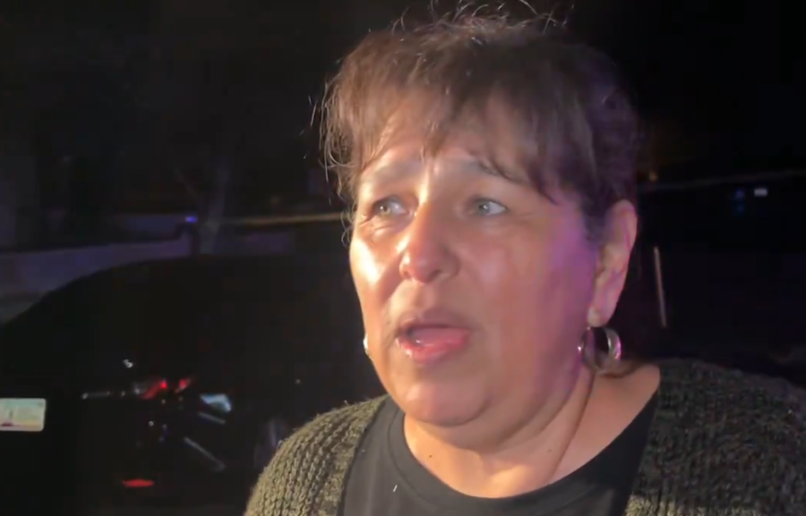 Josefina talking to the media about her son-in-law as seen in a video posted on February 11, 2026 | Source: X/@LillianDonahue