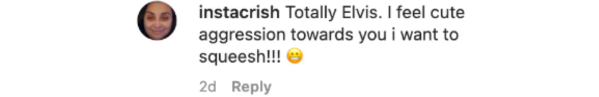 A comment left under a photo that Brendan Fraser's son, Holden, posted on Instagram | Source: instagram.com/holden__fraser/