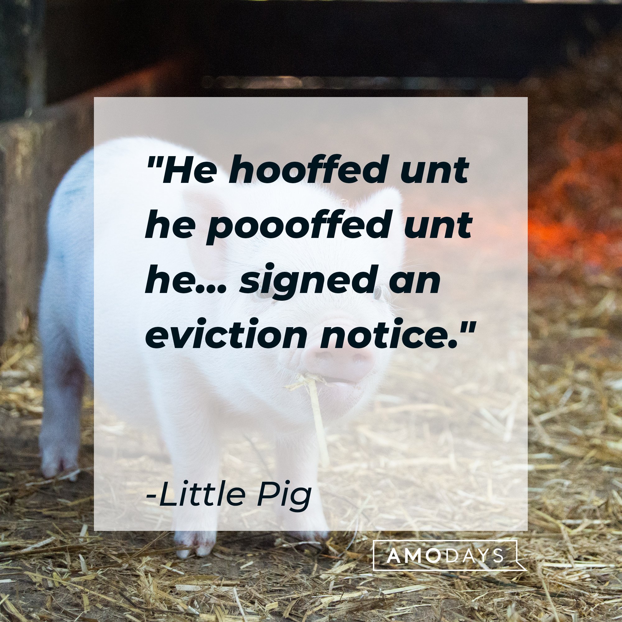 Little Pig's quote: "He hooffed unt he poooffed unt he... signed an eviction notice." | Image: AmoDays