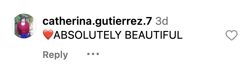 Fan comments on Sophia Stallone's post dated November 2023 | Source: Instagram.com/sophiastallone