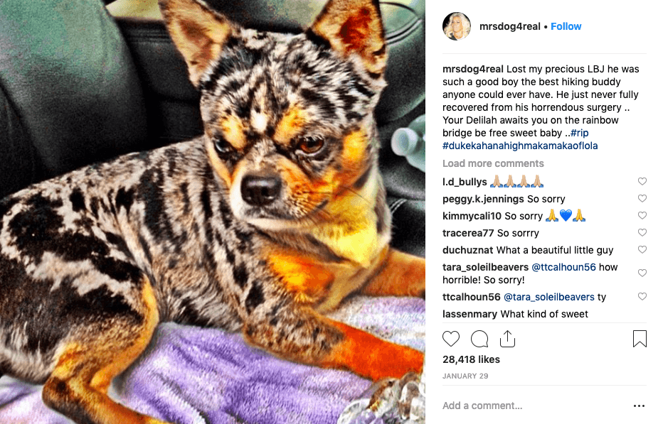 Image source: Instagram/mrsdog4real Image source: Instagram/mrsdog4real