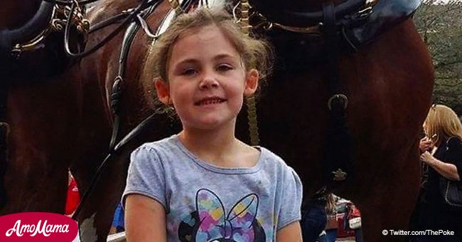 Clever horse hilariously 'photobombs' little girl (video)