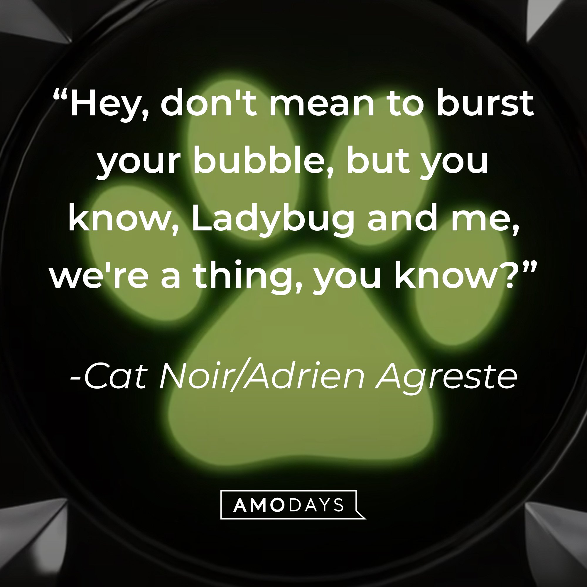 Cat Noir/Adrien Agreste’s quote: "Hey, don't mean to burst your bubble, but you know, Ladybug and me, we're a thing, you know?" | Image: AmoDays 