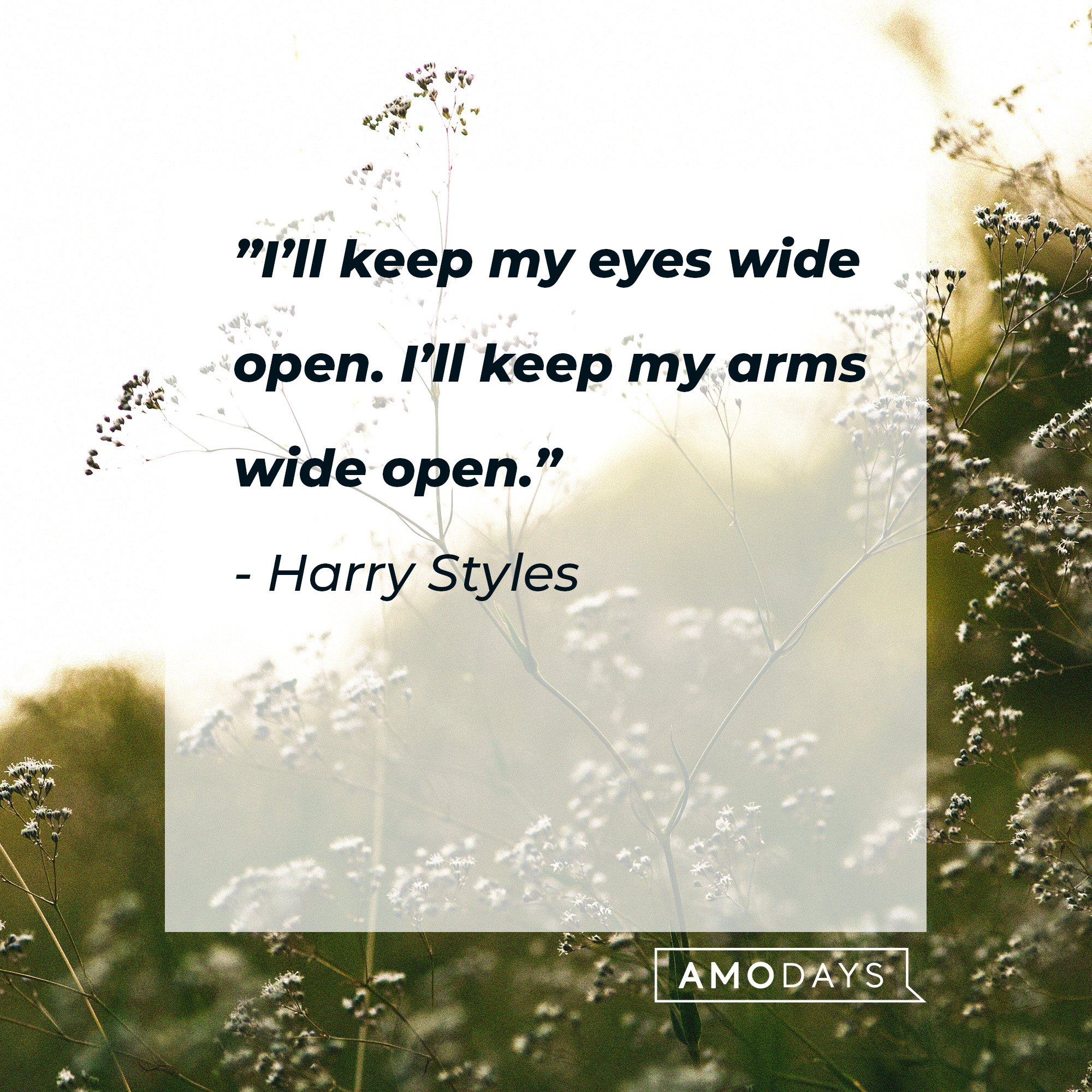 Harry Styles’ quote: "I’ll keep my eyes wide open. I’ll keep my arms wide open." | Source: AmoDays