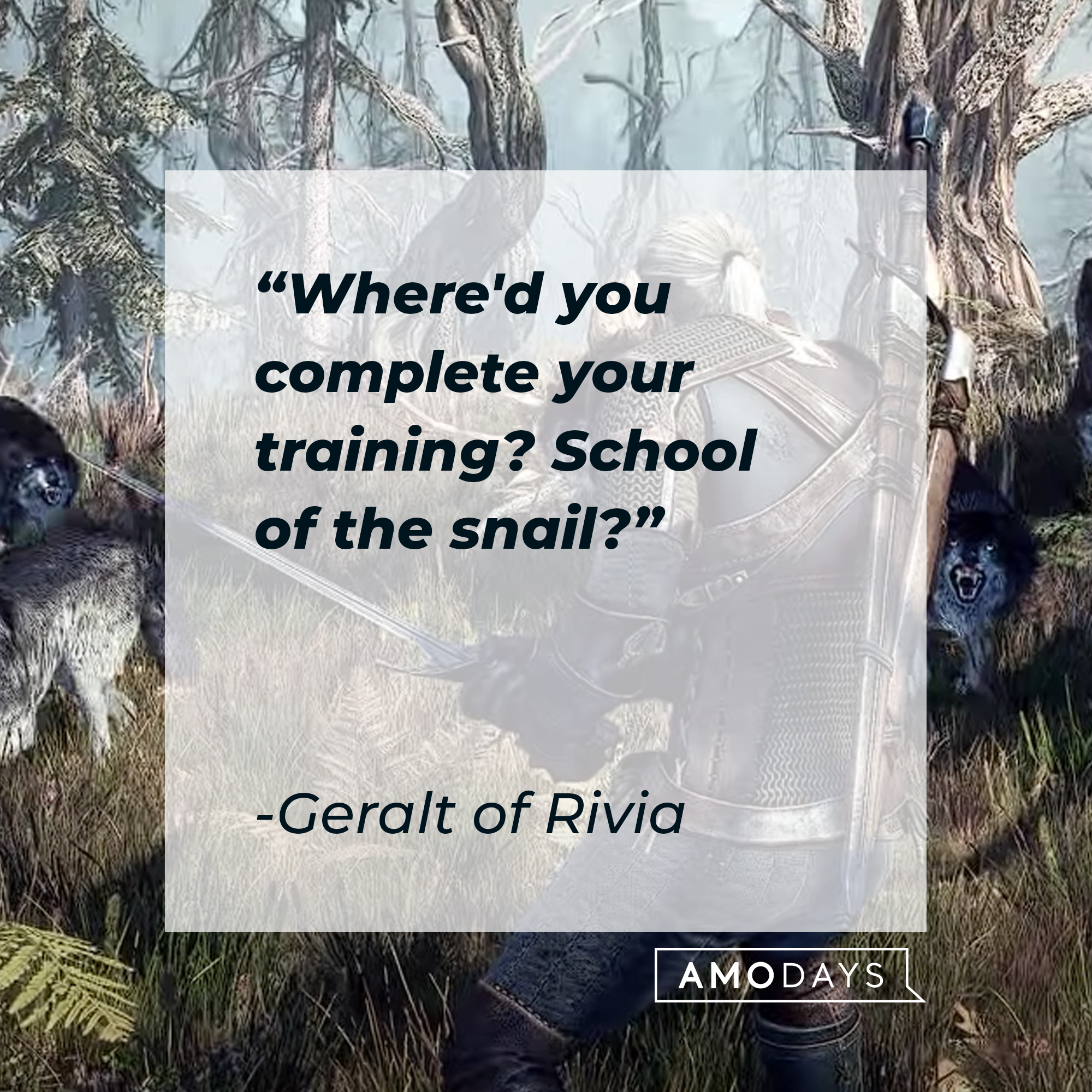 Geralt of Rivia from the video game with his quote: "Where'd you complete your training? School of the snail?" | Source: youtube.com/thewitcher