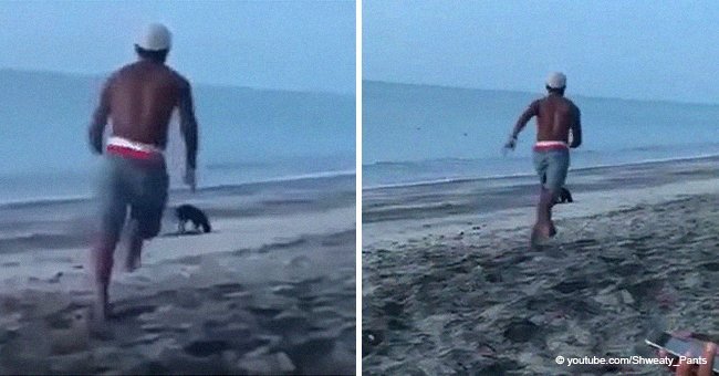 Man who viciously tries to kick a dog at the beach gets chased by 3 more