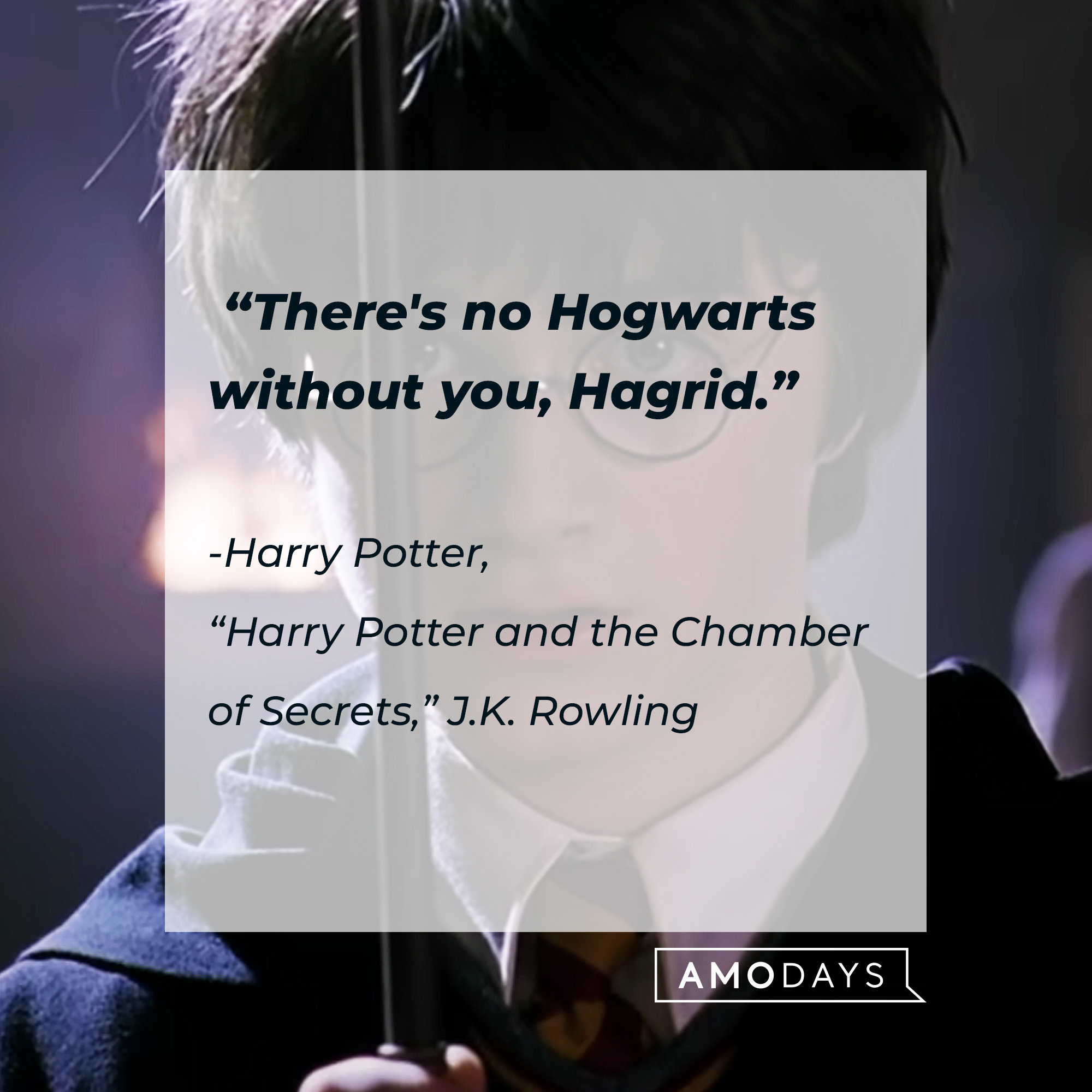 An image of Harry Potter with his quote: "There's no Hogwarts without you, Hagrid.” | Source: Youtube.com/harrypotter