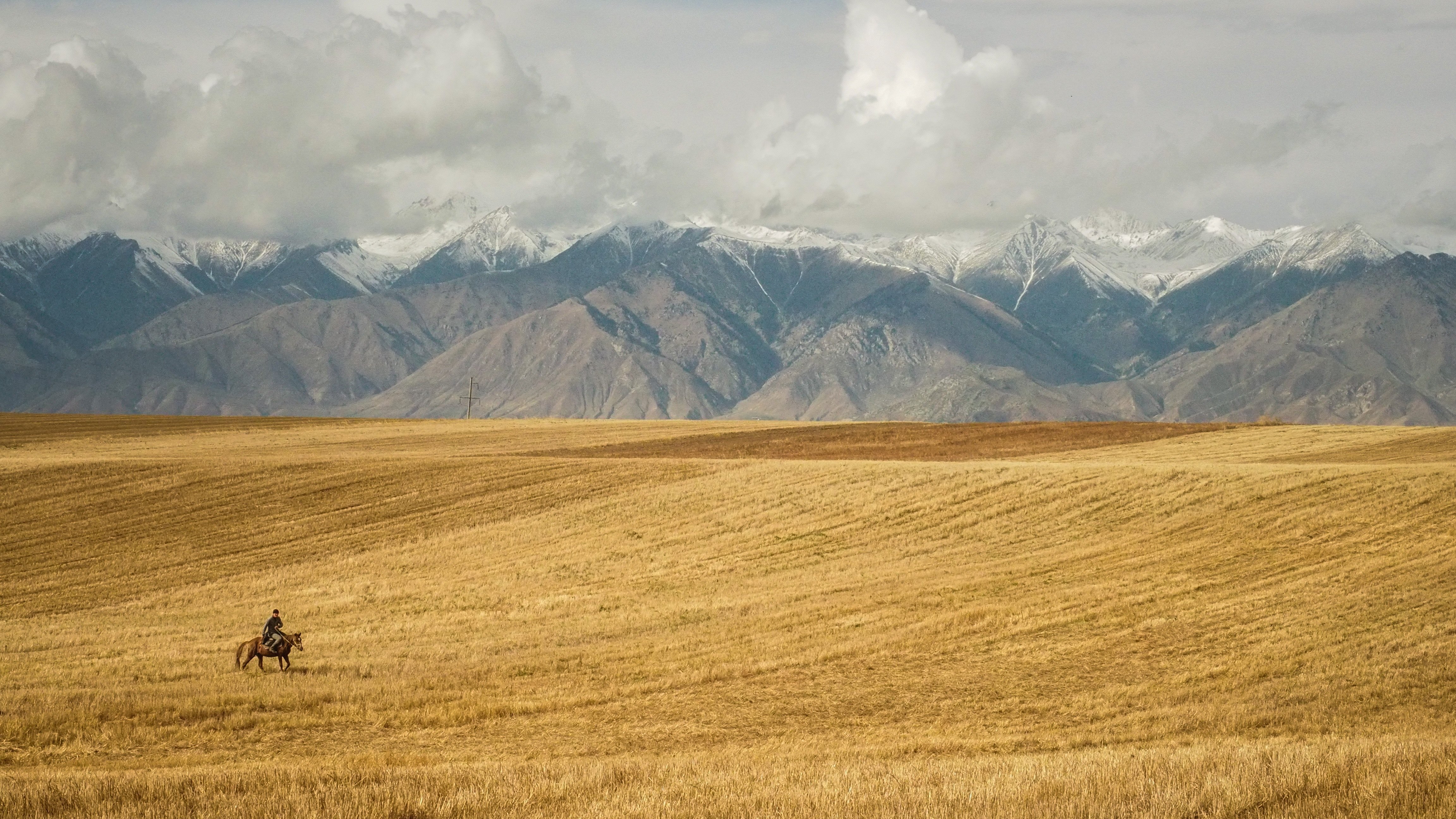 A man riding a horse in the open fields | Source: Unsplash.com