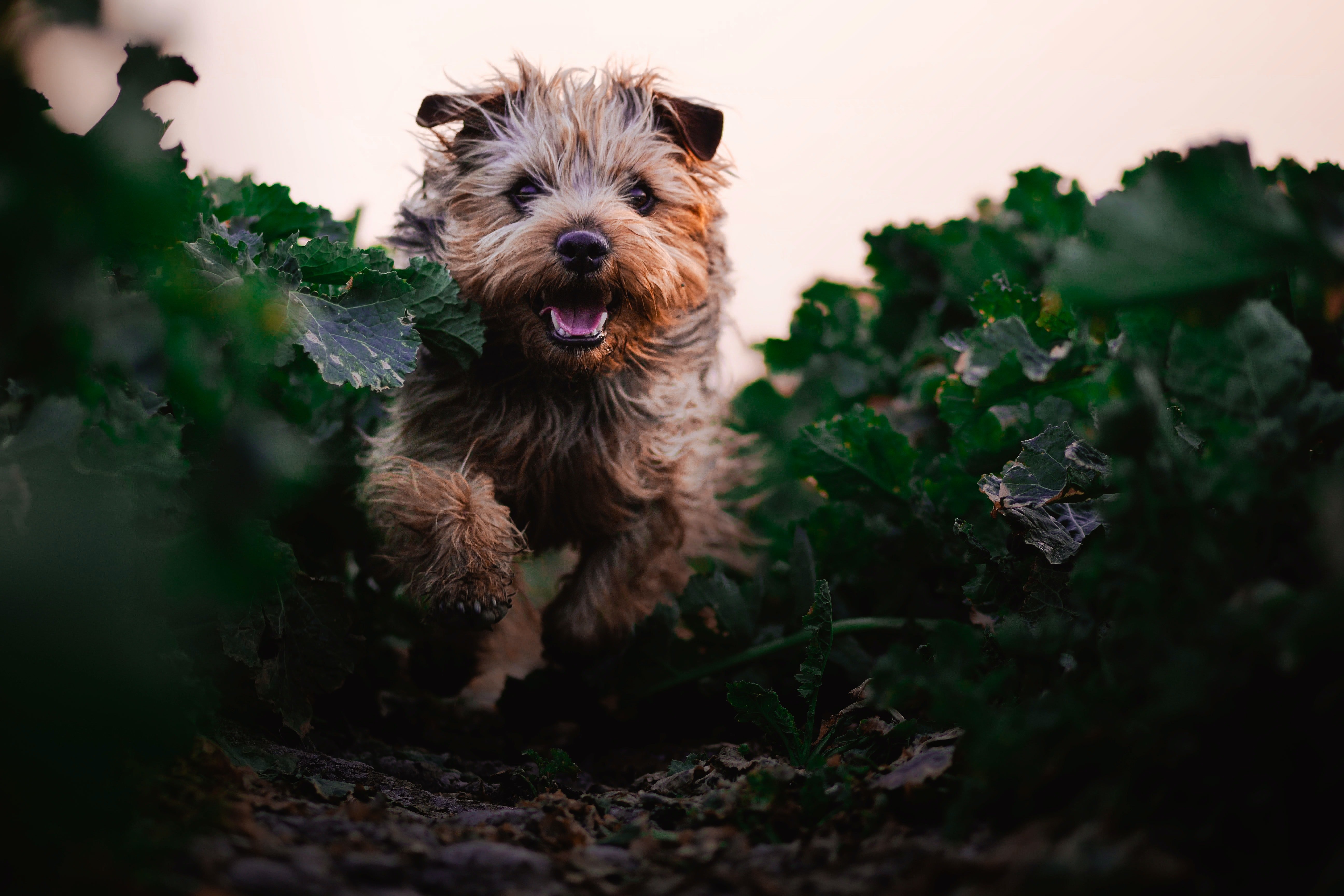 For illustration purposes only. | Source: Pexels