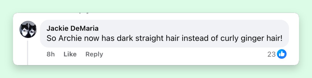 One viewer focused on Archie's appearance, commenting, "So Archie now has dark straight hair instead of curly ginger hair!" The remark echoed several other reactions questioning why the children looked different from earlier public images. | Source: Facebook/Page Six
