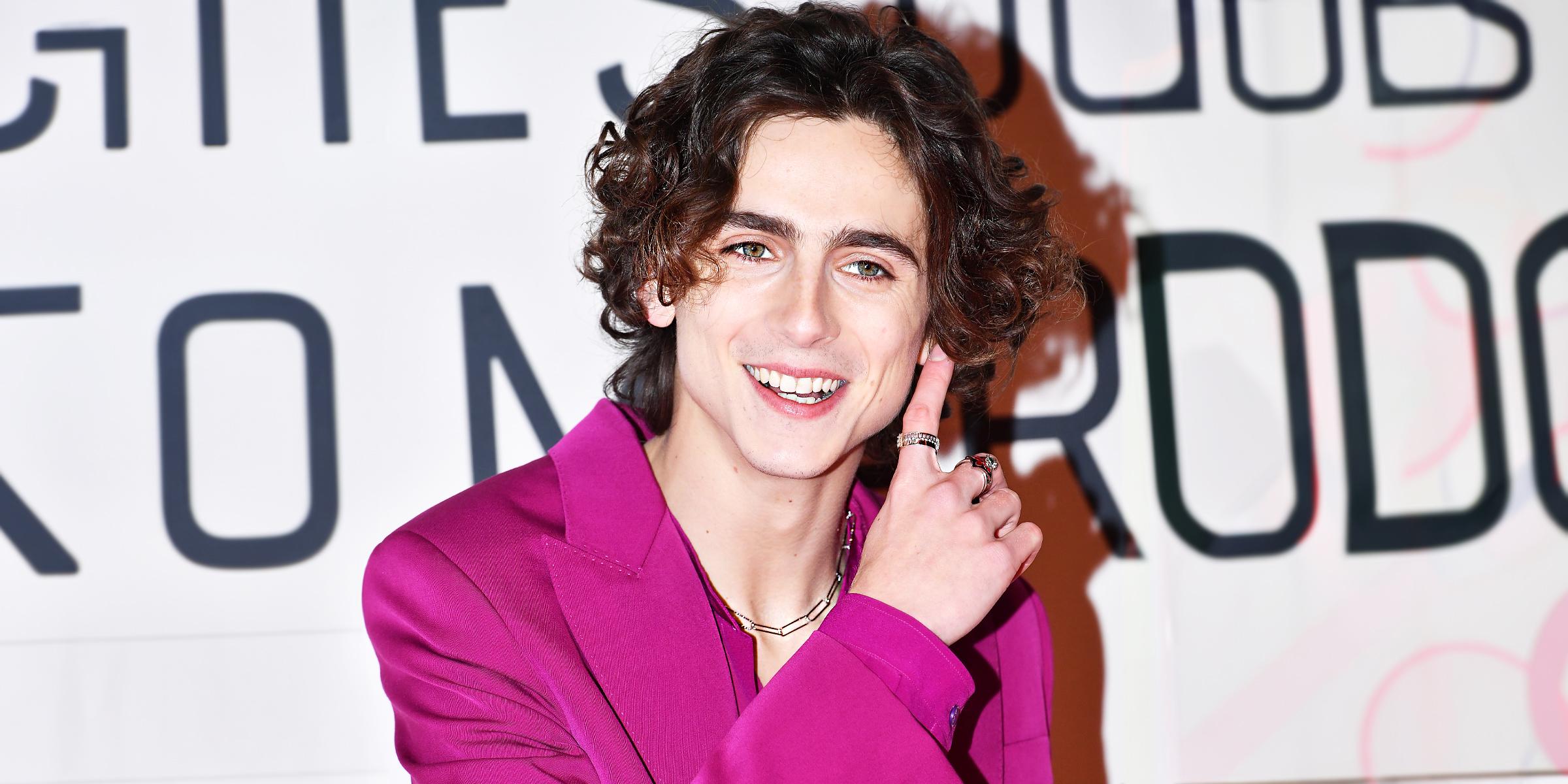 Timothée Chalamet, 2019 | Source: Getty Images