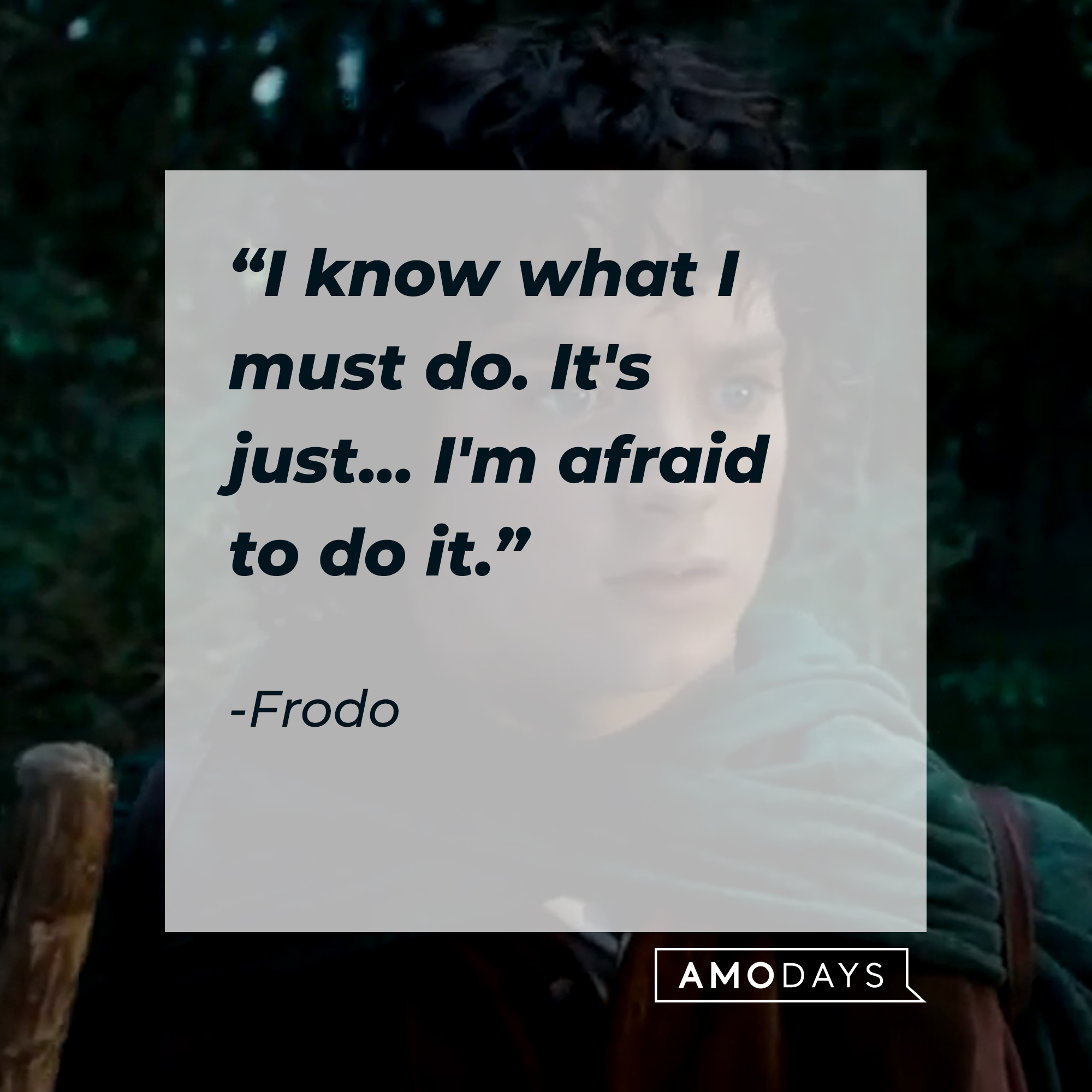 A photo of Frodo Baggins with the quote, "I know what I must do. It's just... I'm afraid to do it." | Source: Facebook/lordoftheringstrilogy