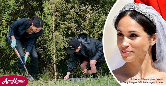 Meghan Markle planted trees with the same flowers that were embroidered on her bridal veil