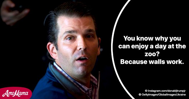 Donald Trump Jr.'s post about zoo walls that work sparks outrage