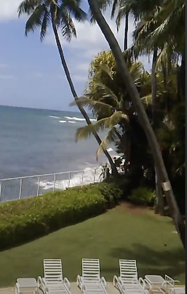 The view from Jim Nabors' Hawaii home | Source: youtube.com/@starsuccessnow