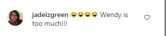 A fan's comment on Wendy Williams' Instagram post | Photo: Instagram/wendyshow