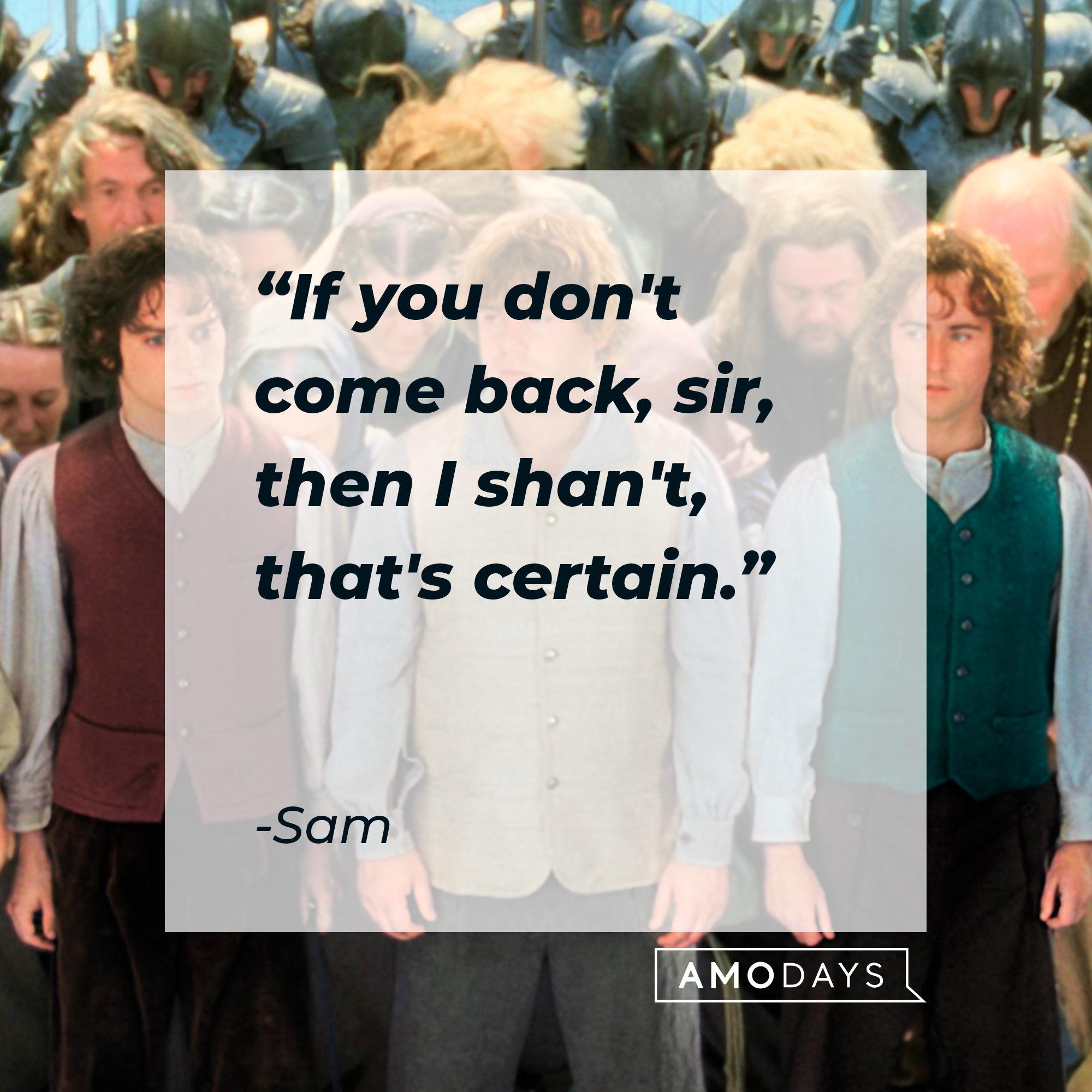 Sam's quote: "If you don't come back, sir, then I shan't, that's certain.” | Source: facebook.com/lordoftheringstrilogy