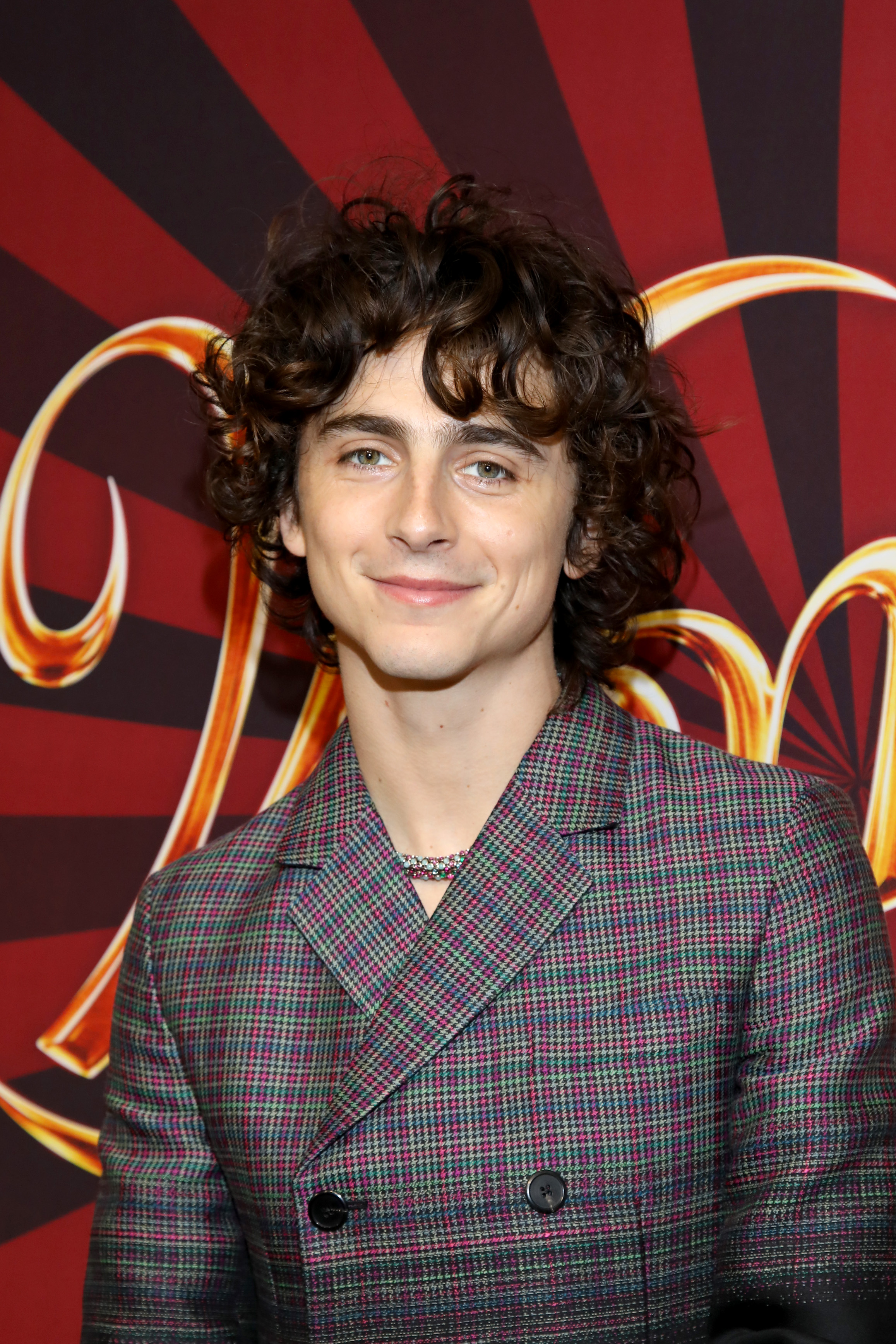 Timothée Chalamet attends the 