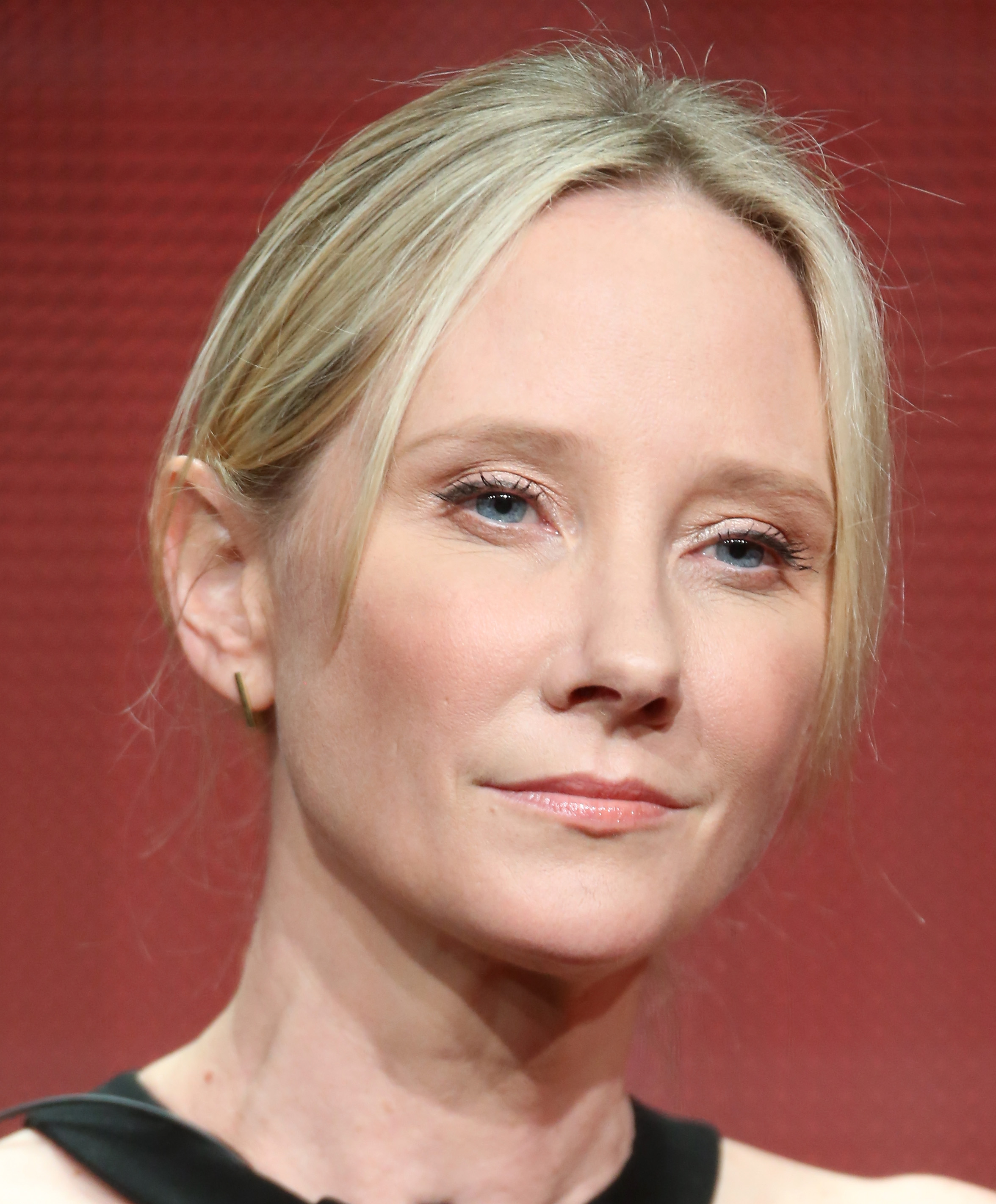 Anne Heche speaks at the "Bad Judge" panel during the NBCUniversal portion of the 2014 Summer Television Critics Association on July 13, 2014, in California. | Source: Getty Images