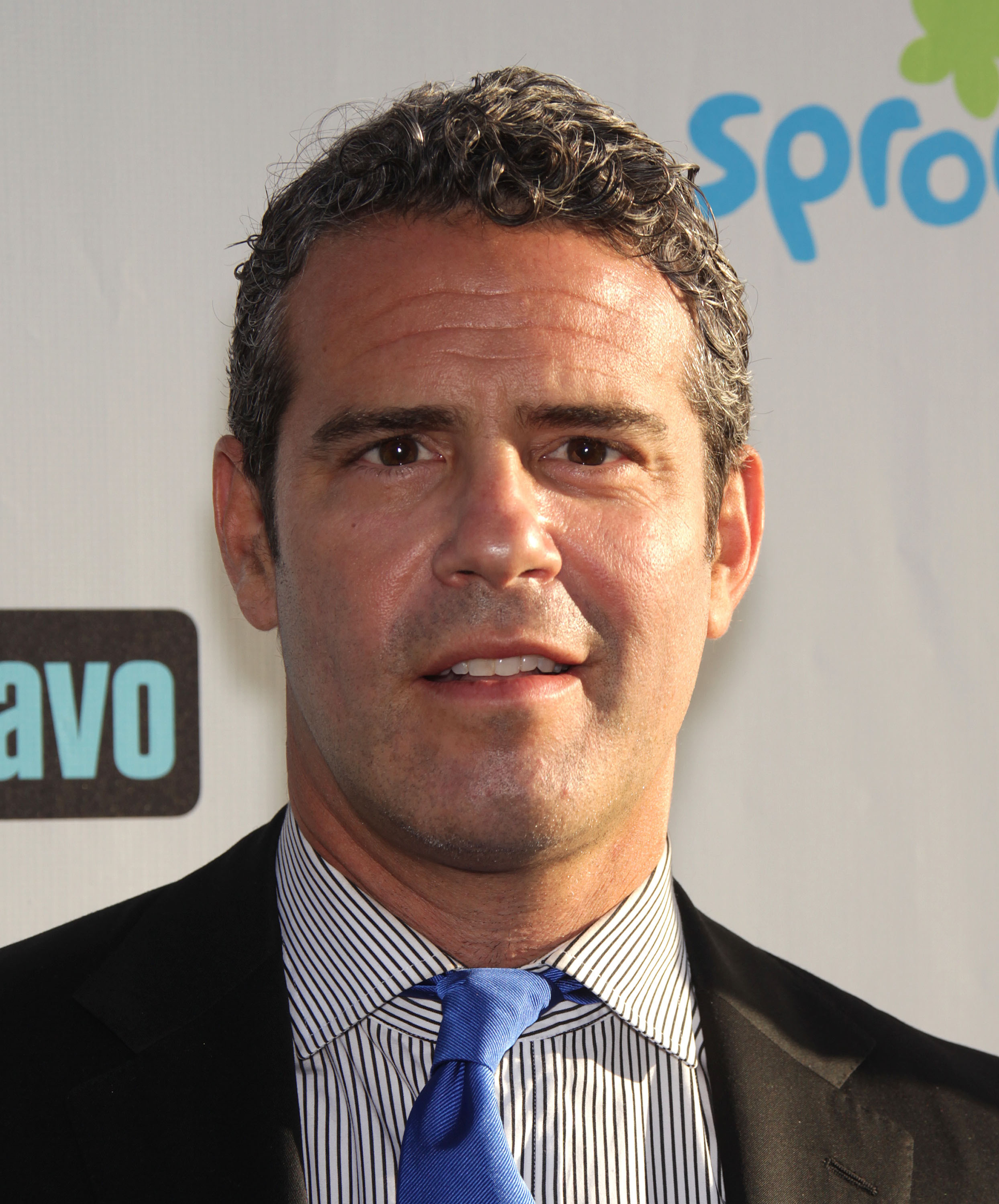 ANDY COHEN arriving to Summer 2011 TCA Party | Shutterstock