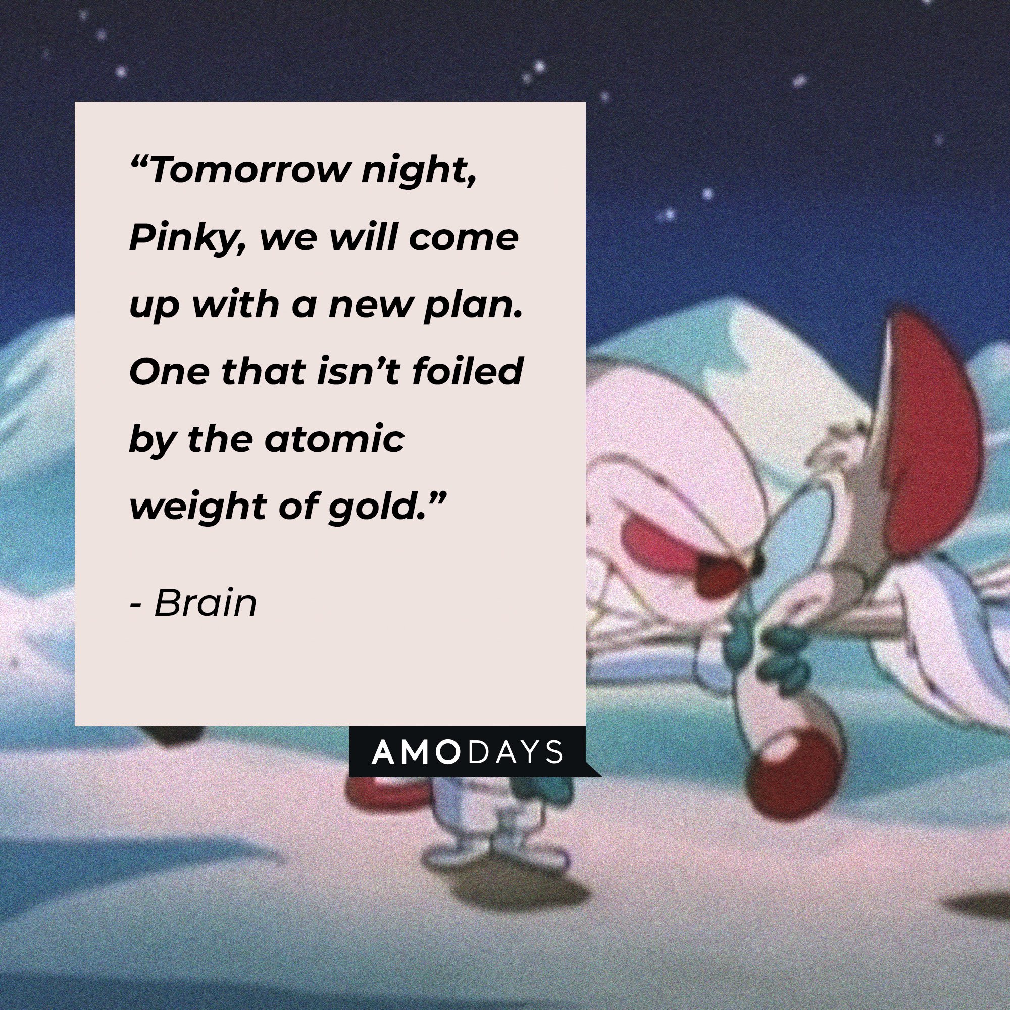 Brain's quote: “Tomorrow night, Pinky, we will come up with a new plan. One that isn’t foiled by the atomic weight of gold.” | Image: AmoDays