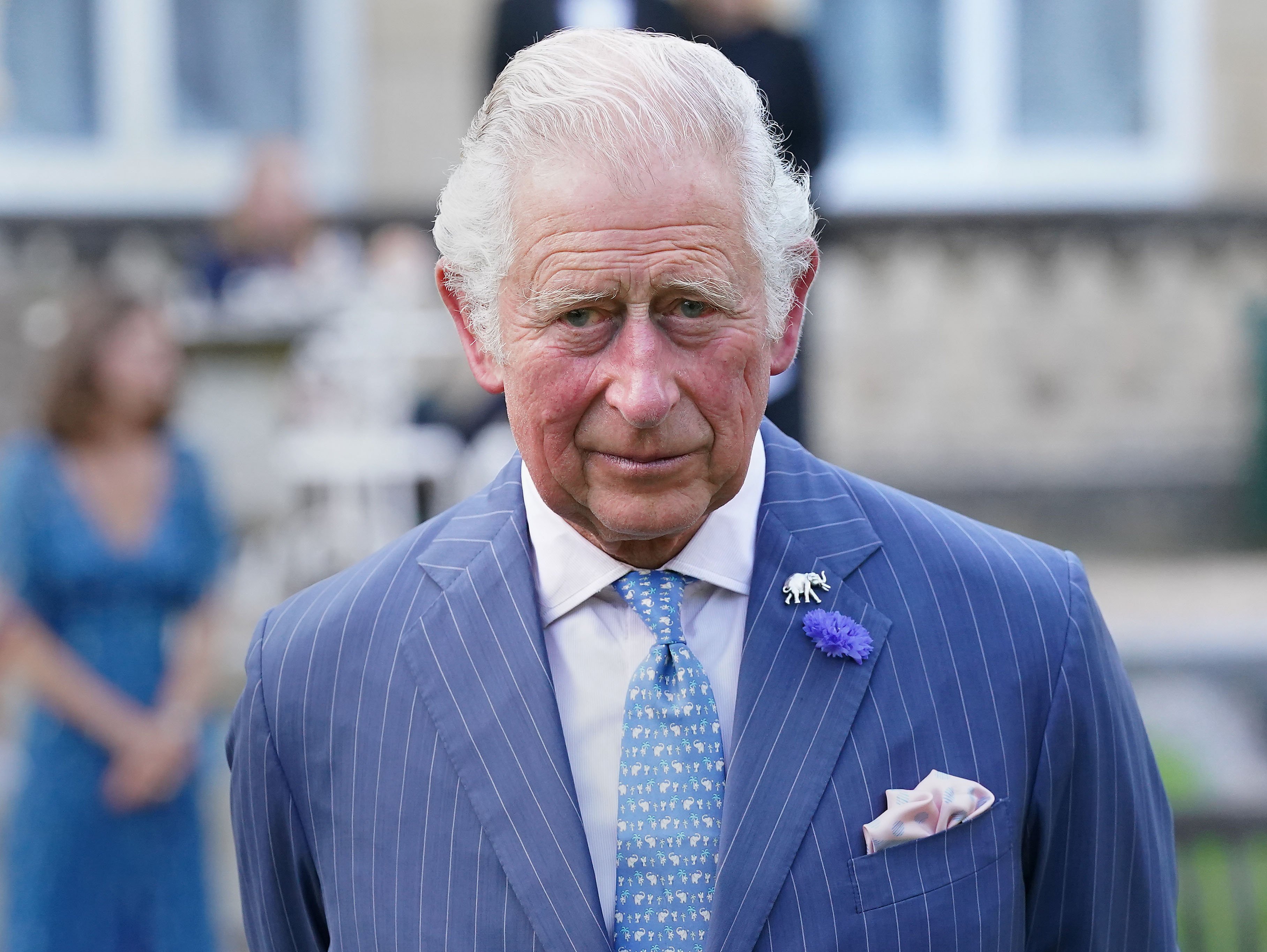 Prince Charles, Prince of Wales attends the "A Starry Night In The Nilgiri Hills" event hosted by the Elephant Family in partnership with the British Asian Trust at Lancaster House on July 14, 2021 in London, England. | Source: Getty Images
