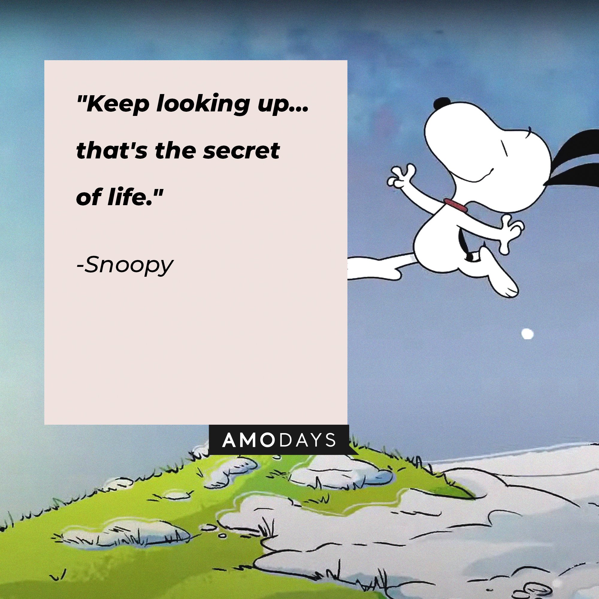Snoopy’s quote: "Keep looking up… that's the secret of life." | Image: AmoDays