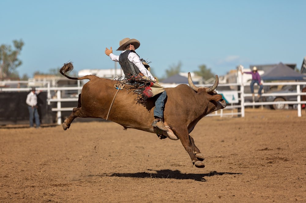 A cowboy competing in a bull-riding event at a country rodeo | Photo: Shutterstock/Jackson Stock Photography