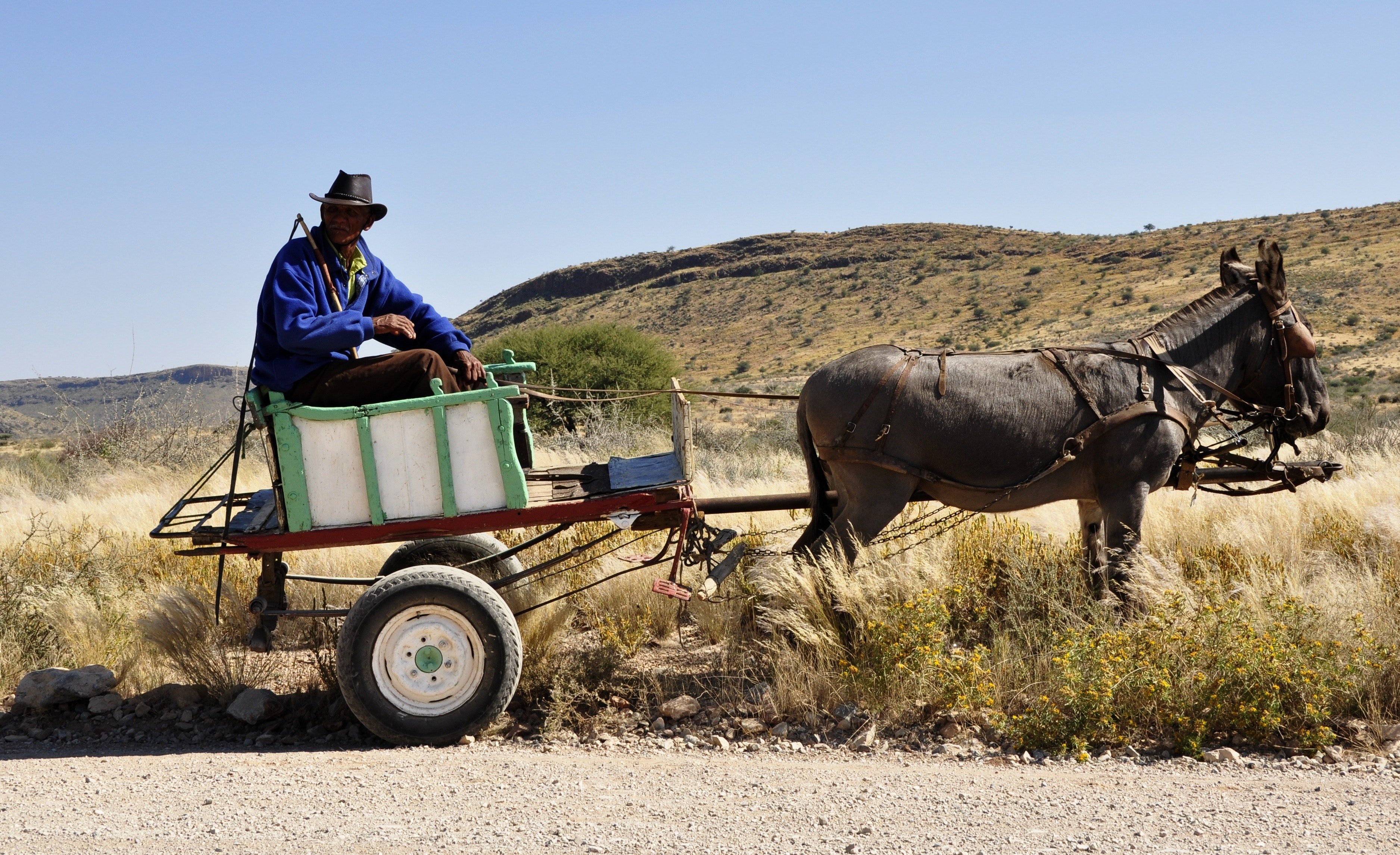 Man on Donkey Cart| Photo: Pexels