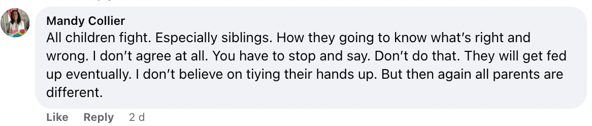 A comment left on a Facebook post about Shillingford and her sons | Source: facebook.com/thescottishsun