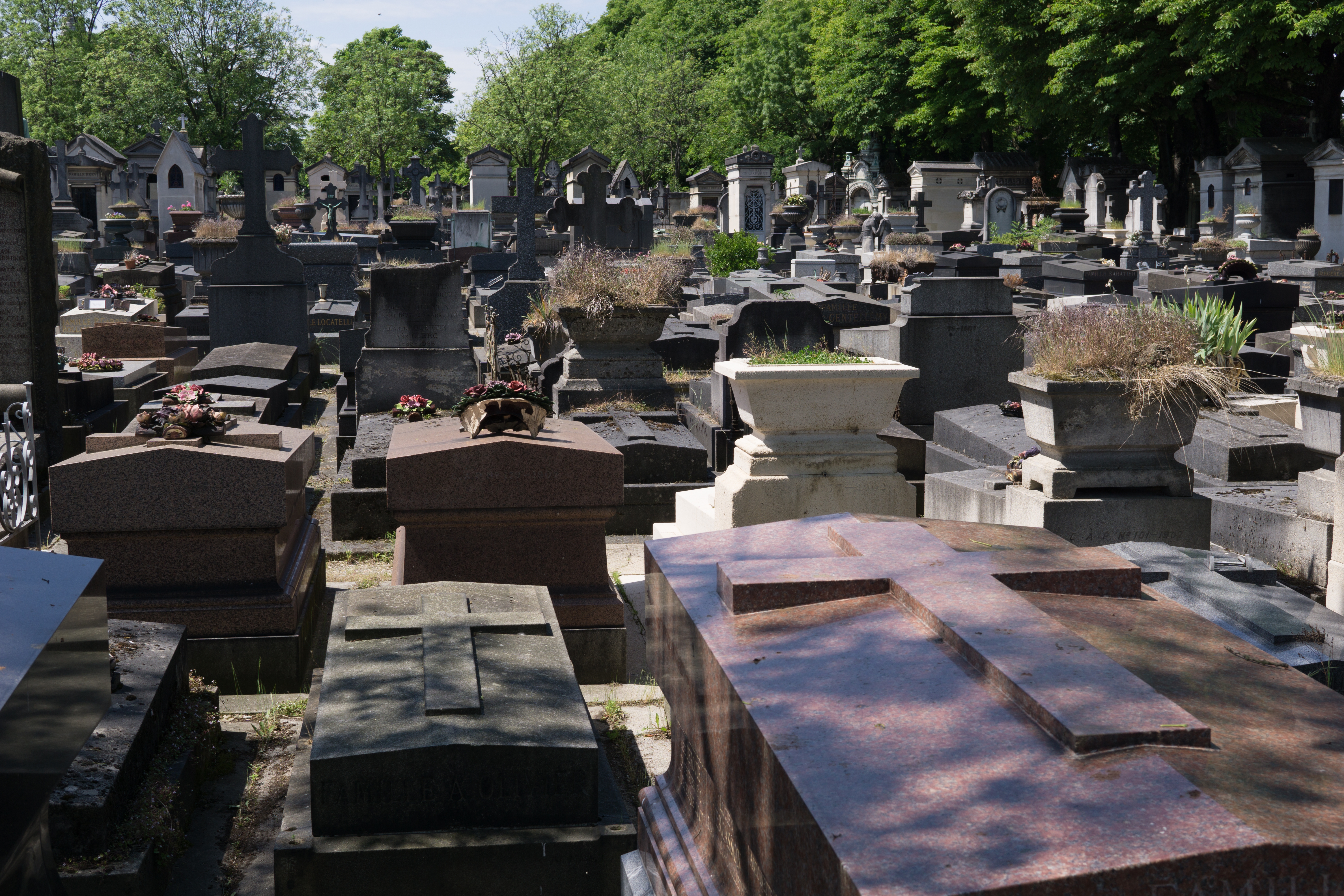 A cemetery | Source: Shutterstock