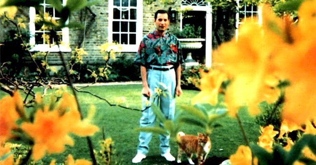 Freddie Mercury en su mansión Garden Lodge en Kensington, Londres. | Foto: YouTube / El Heraldo de México
