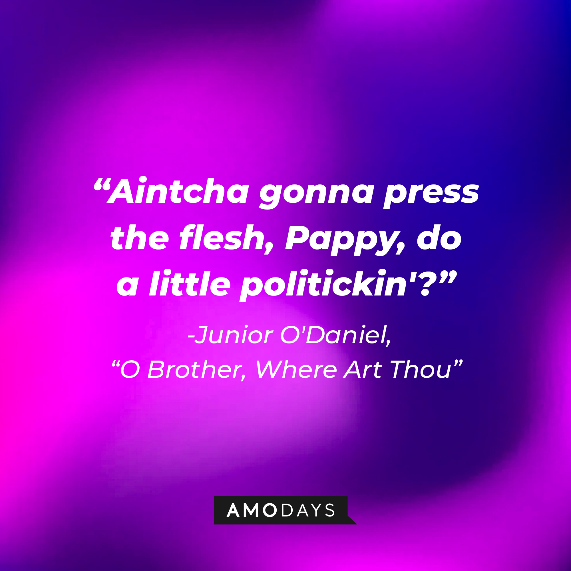 Junior O'Daniel's quote in "O Brother, Where Art Thou:" "Aintcha gonna press the flesh, Pappy, do a little politickin'?" | Source: AmoDays