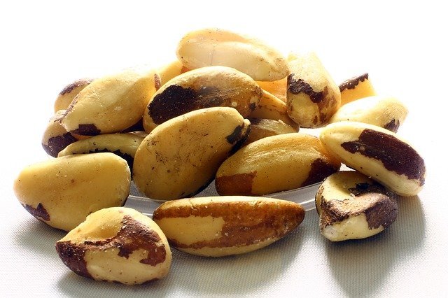 Nueces de Brasil. Fuente: Pixabay