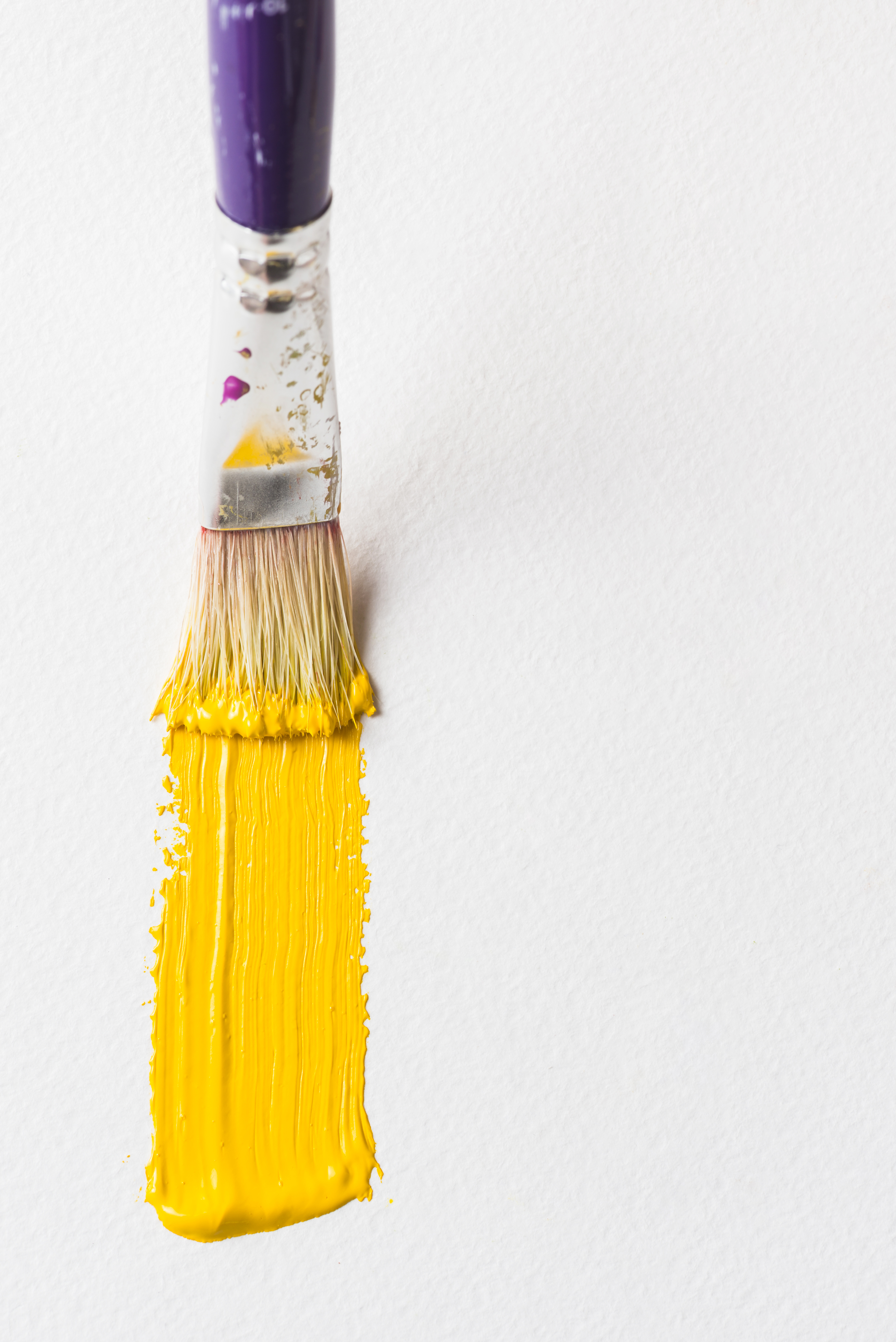 Bristle brush painting on a white surface | Source: Freepik