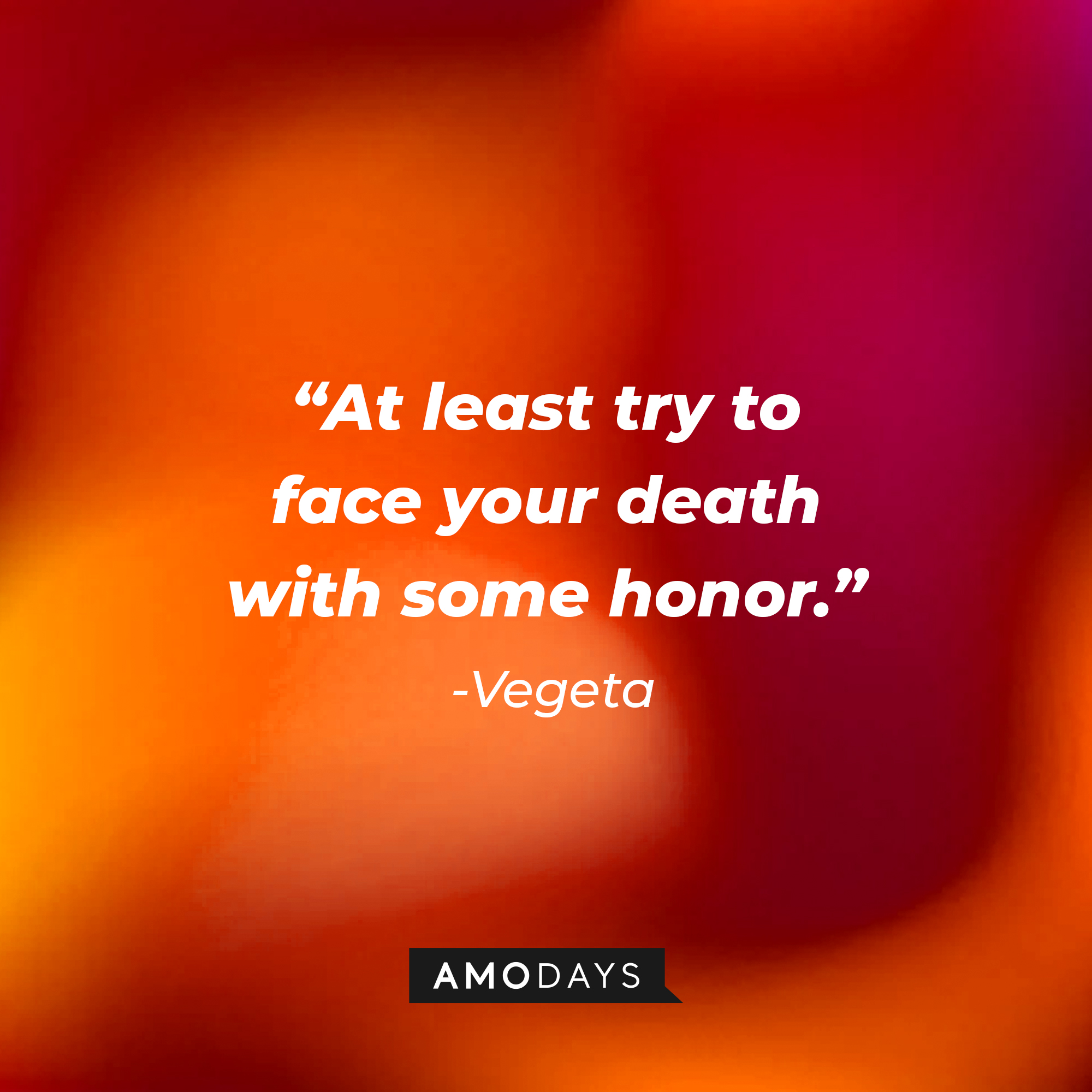 Vegeta’s quote: “At least try to face your death with some honor.” | Source: AmoDays