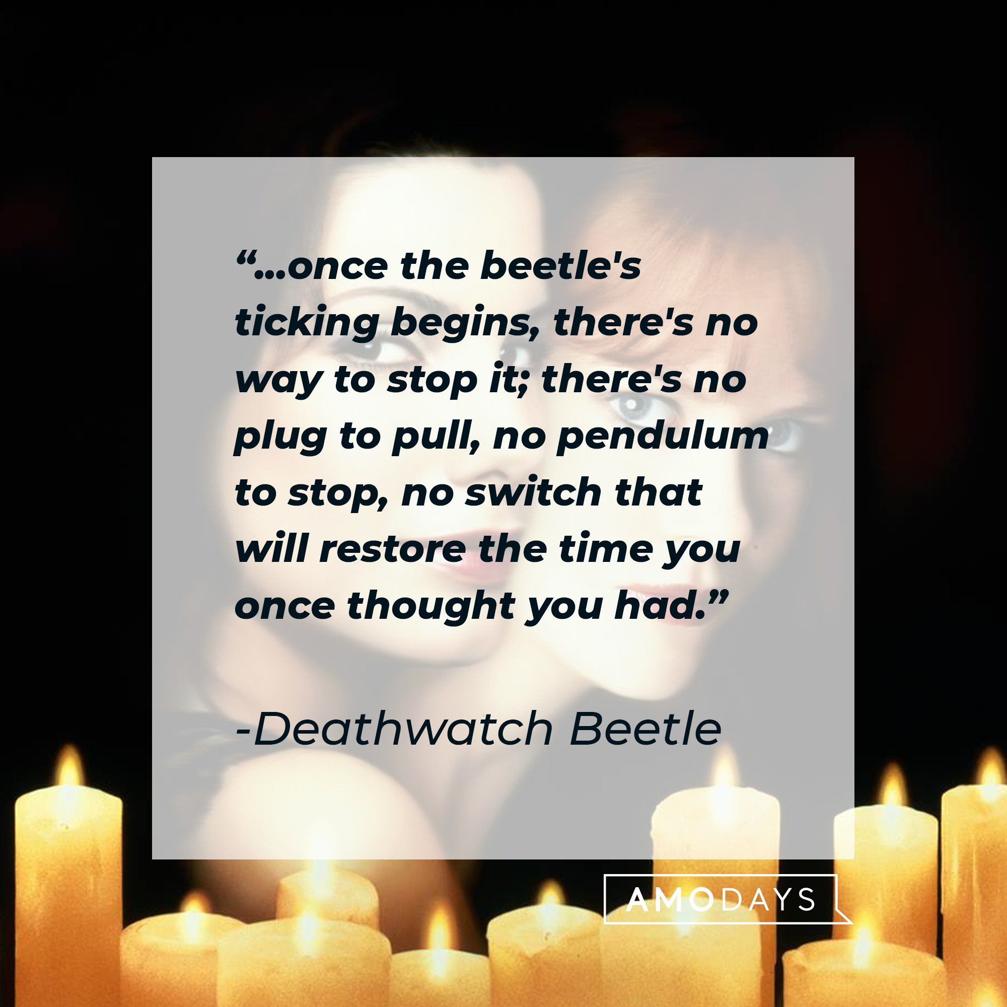  Deathwatch Beetle’s quote: "...once the beetle's ticking begins, there's no way to stop it; there's no plug to pull, no pendulum to stop, no switch that will restore the time you once thought you had." | Image: AmoDays