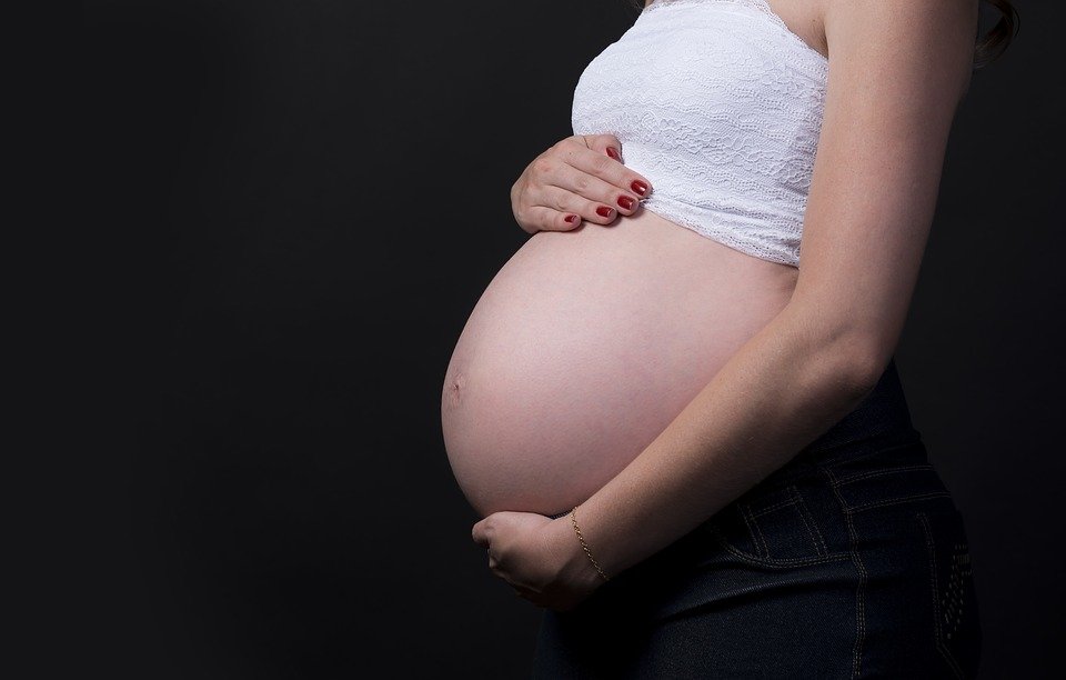 Mujer con varios meses de embarazo. | Foto: Pixabay Mujer con varios meses de embarazo. | Foto: Pixabay